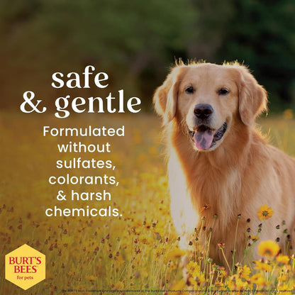 Burt'S Bees for Dogs Deodorizing Dog Shampoo and Dog Deodorizing Spray, Apple & Rosemary Dog Shampoo, Natural Dog Shampoo, Puppy Shampoo, Dog Bathing Supplies, Dog Wash, Pet Shampoo